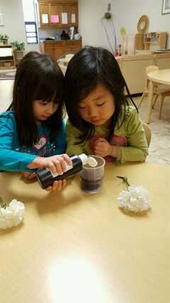 Cadence Academy Preschool Middlebury's Photo