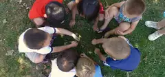 The Lil' School's Photo