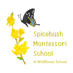 Spicebush Montessori School's Photo