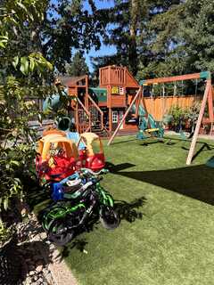 The Learning Forest Academy's Photo