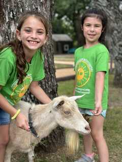 Country Day Montessori's Photo