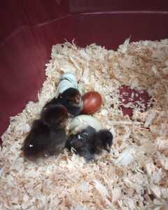 Turning Point Early Learning Center's Photo