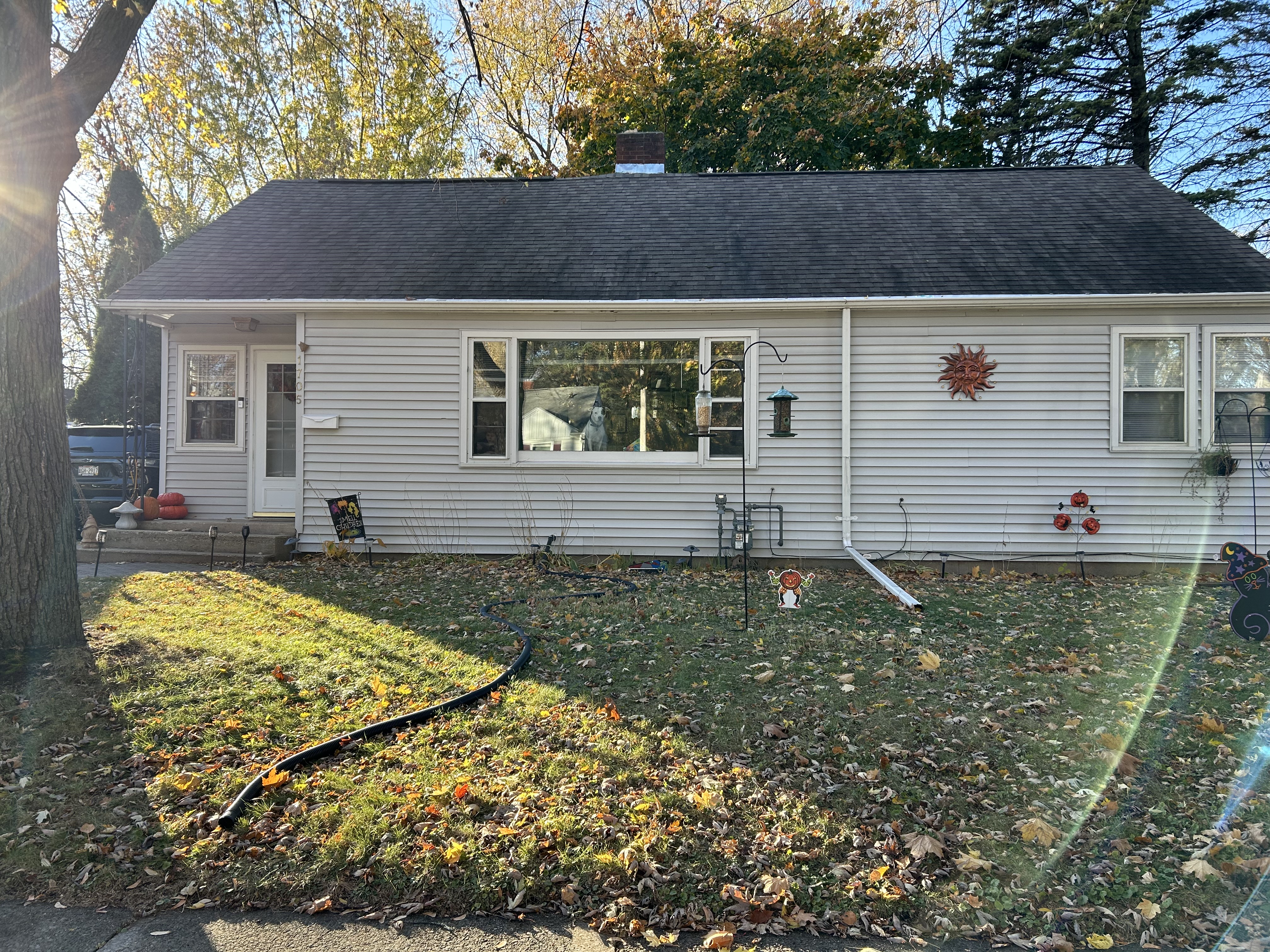 Baby Steps Childcare Llc Logo