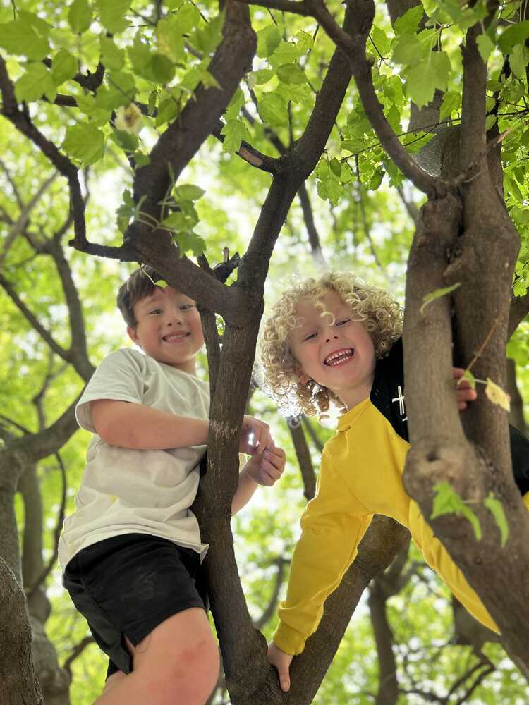 Gioiosa Montessori Logo