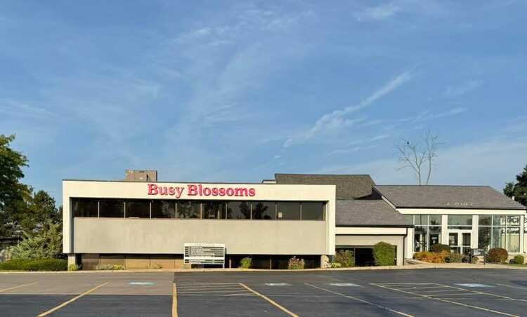 BUSY BLOSSOMS
