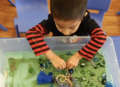Growing Brilliant Granite Bay - Preschool & School Age 's Photo