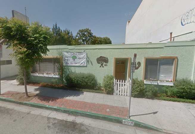 THE TREE HOUSE SCHOOL's Photo