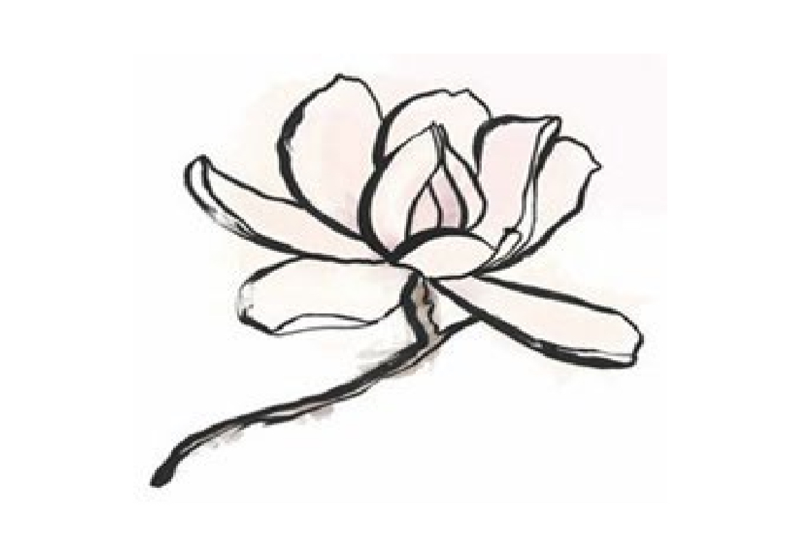 Magnolia Preschool Logo