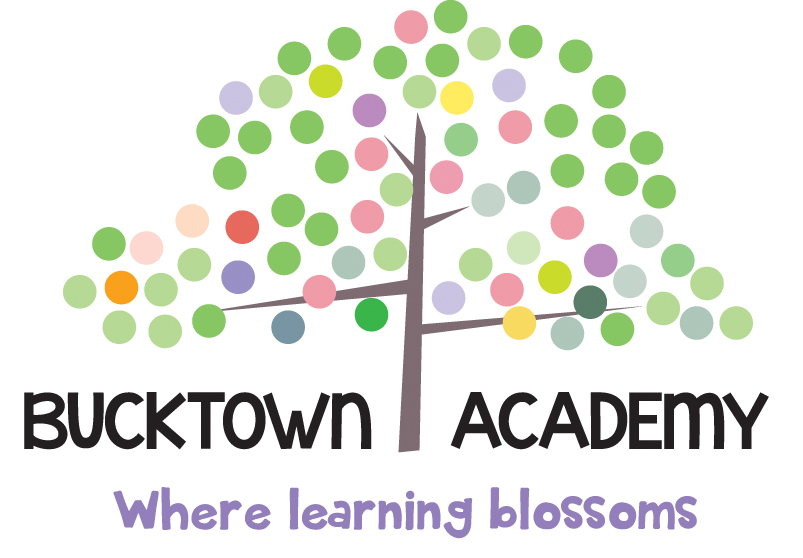 Bucktown Academy Logo