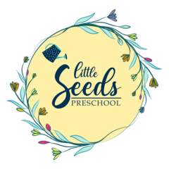 Little Seeds Preschool's Photo