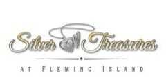 SILVER TREASURES AT FLEMING ISLAND's Photo