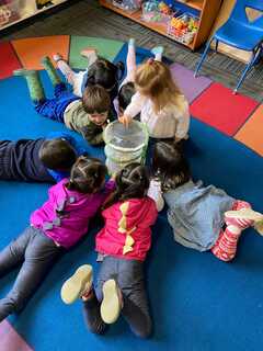 WELCOME AMIGOS SPANISH IMMERSION ED.CTR.'s Photo