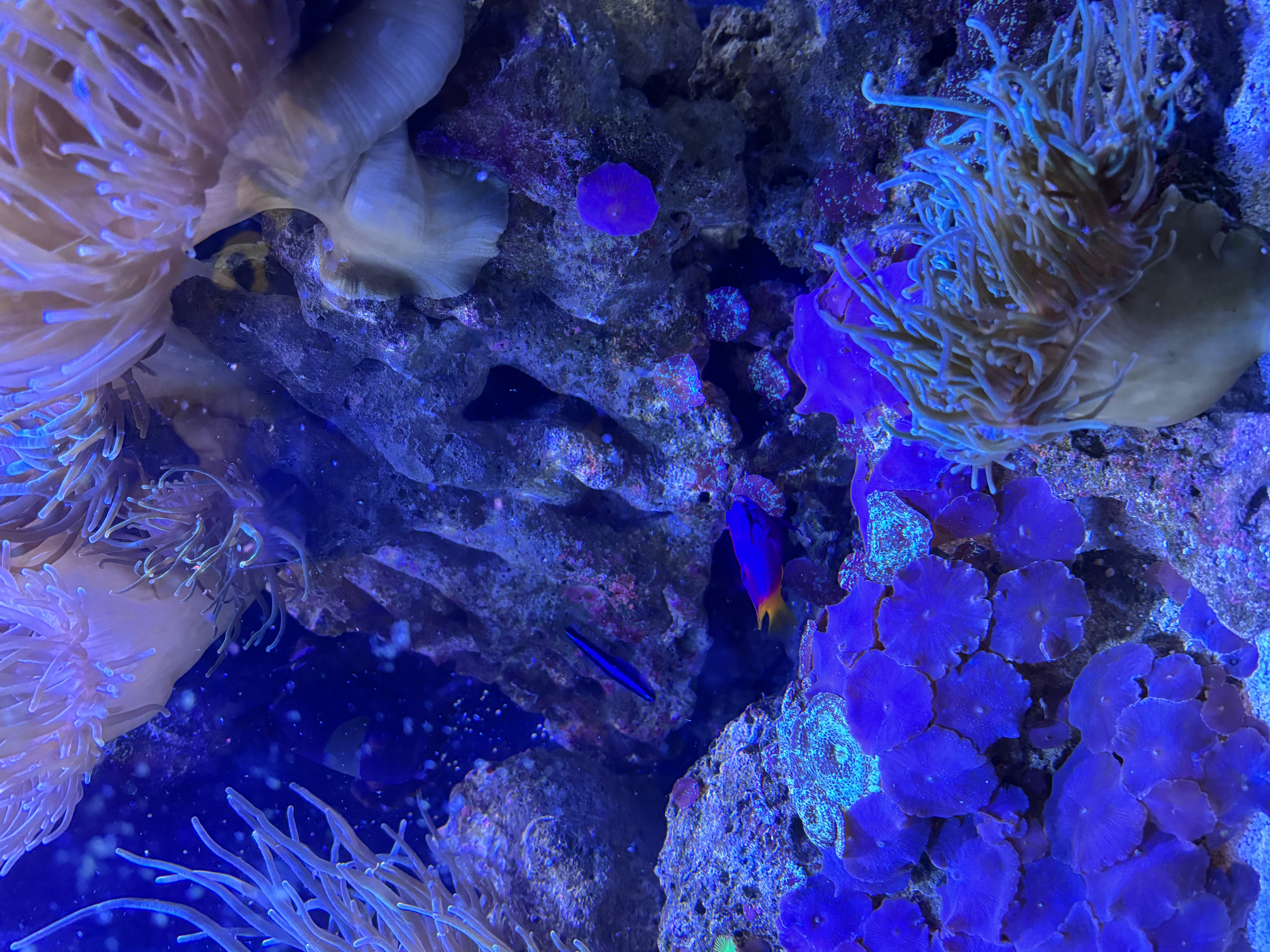 Trinity Family Childcare Center's Photo