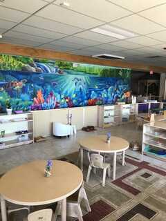 NEEDHAM MONTESSORI SCHOOL's Photo