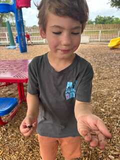 Klein Weekday Preschool's Photo