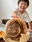 Holistic Seedlings Logo