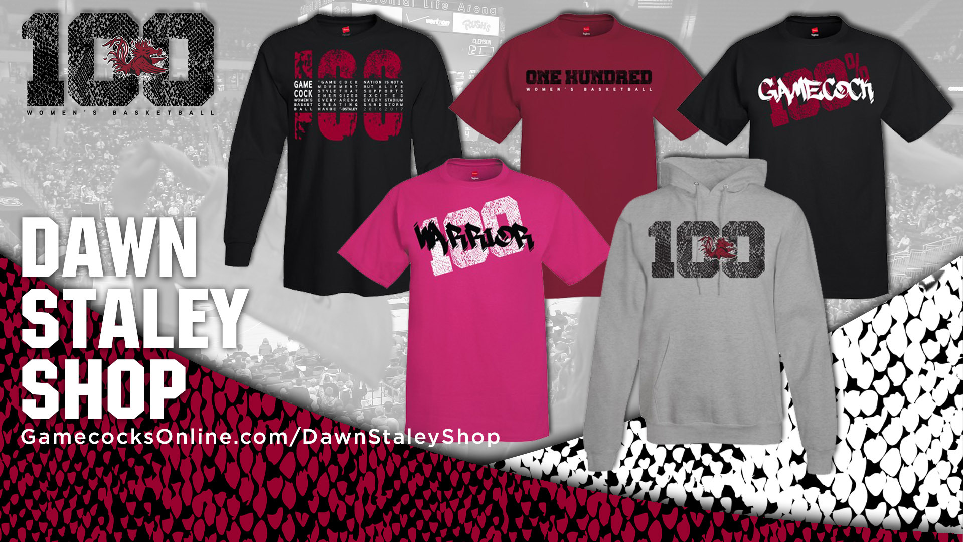 Women's Basketball Launches Apparel site University of South Carolina