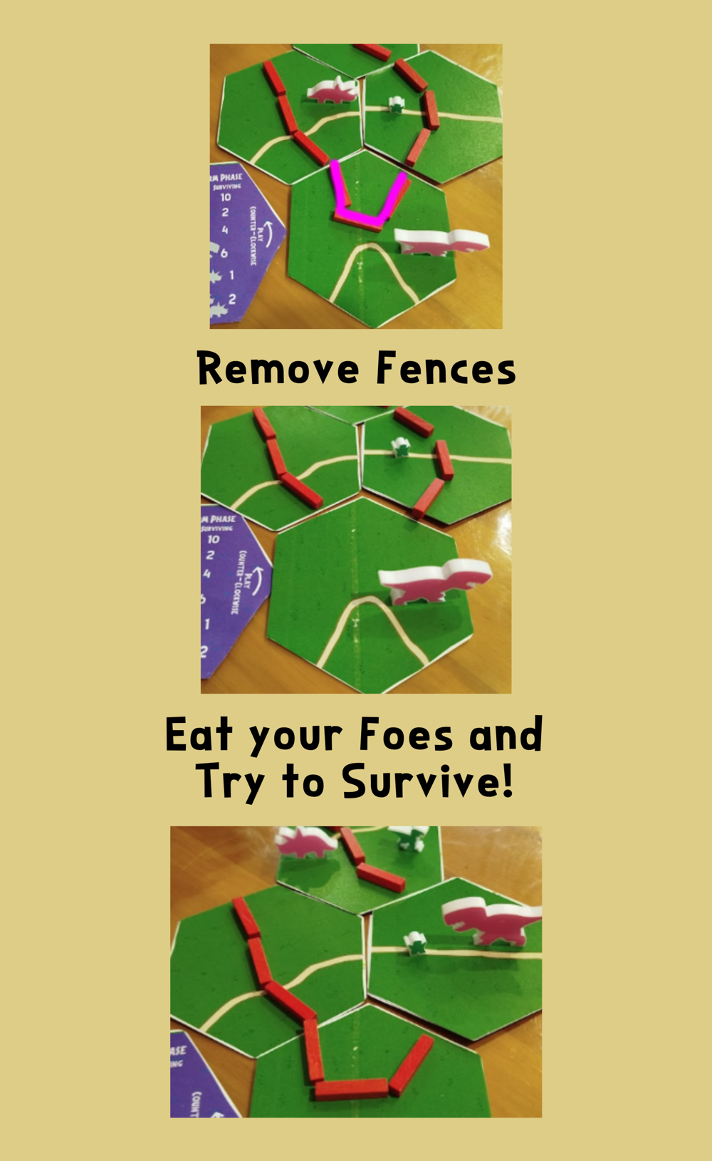 Shop-page-Image-3.png