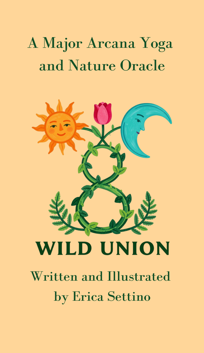 Box-and-book-cover.png