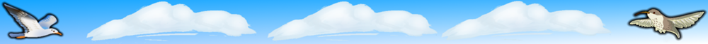 banner_thin_seagull.png