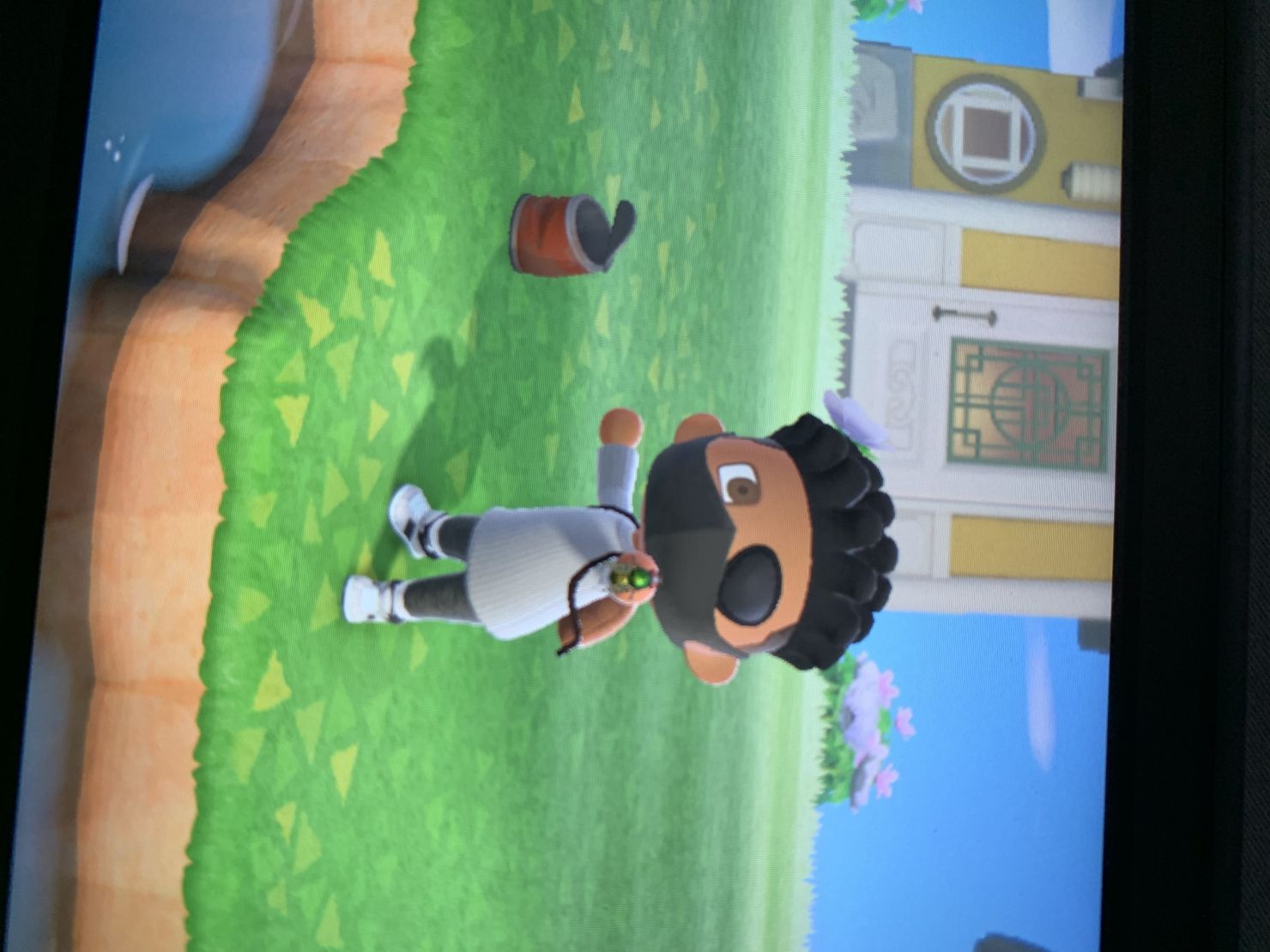 ACNH Fly How To Catch & Price Animal Crossing GameWith