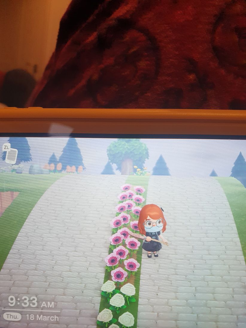 ACNH Pansy Breeding Guide How To Get All Color Variations Animal