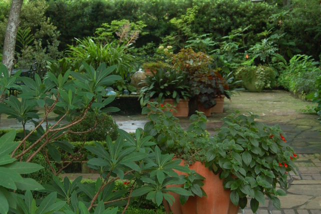 Sharing: McGee Garden