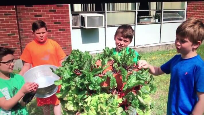 Minot elementary kids gardening