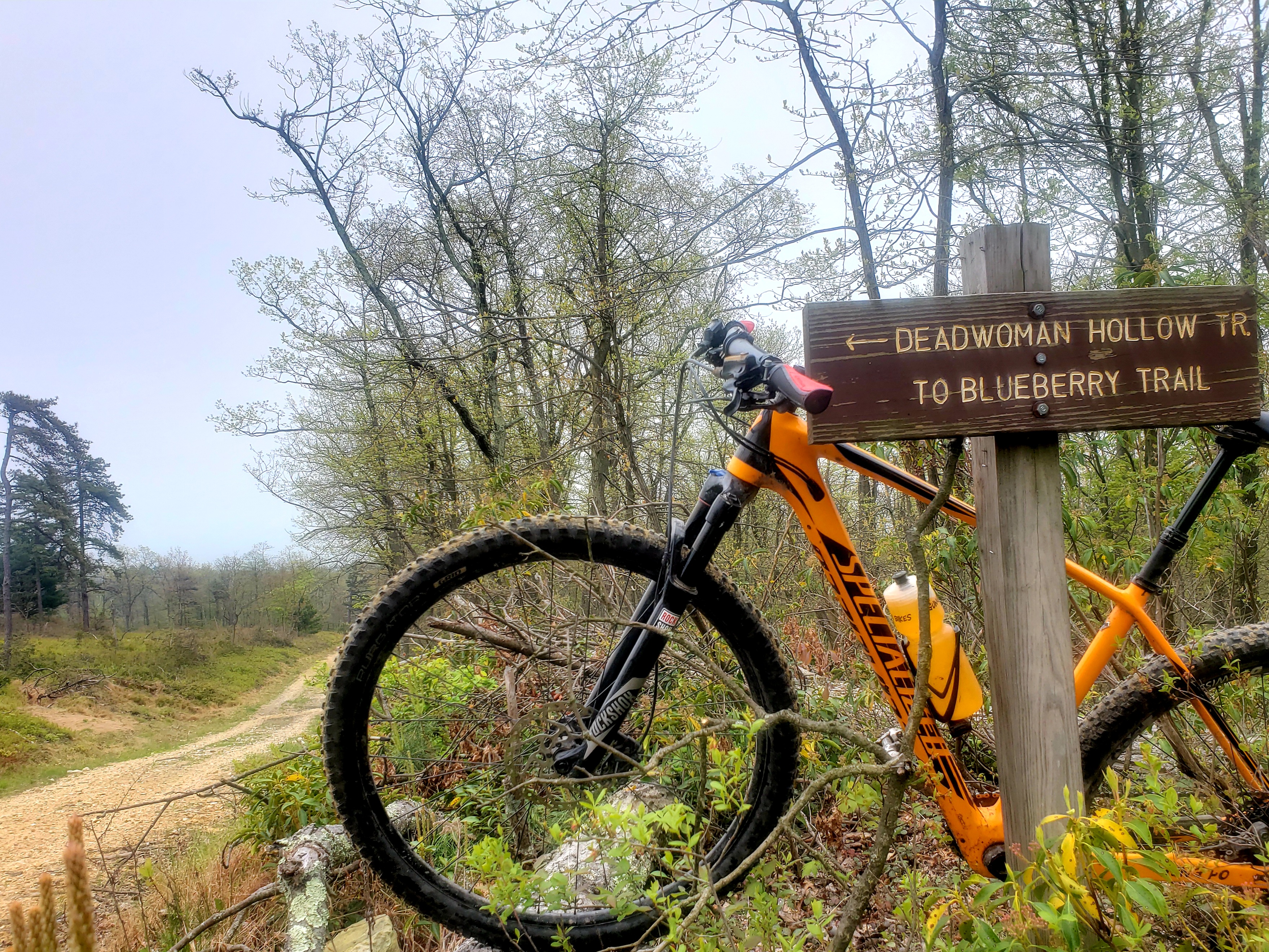 garmin forerunner 235 mtb