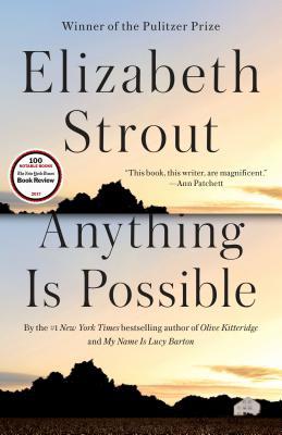 Anything-is-Possible Cover image of Anything is Possible