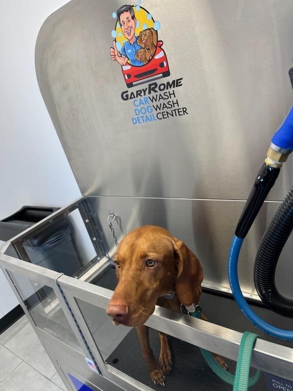 Self Serve Car Washes Near Me