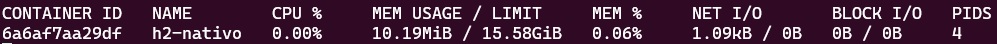 post h2 graalvm docker stats