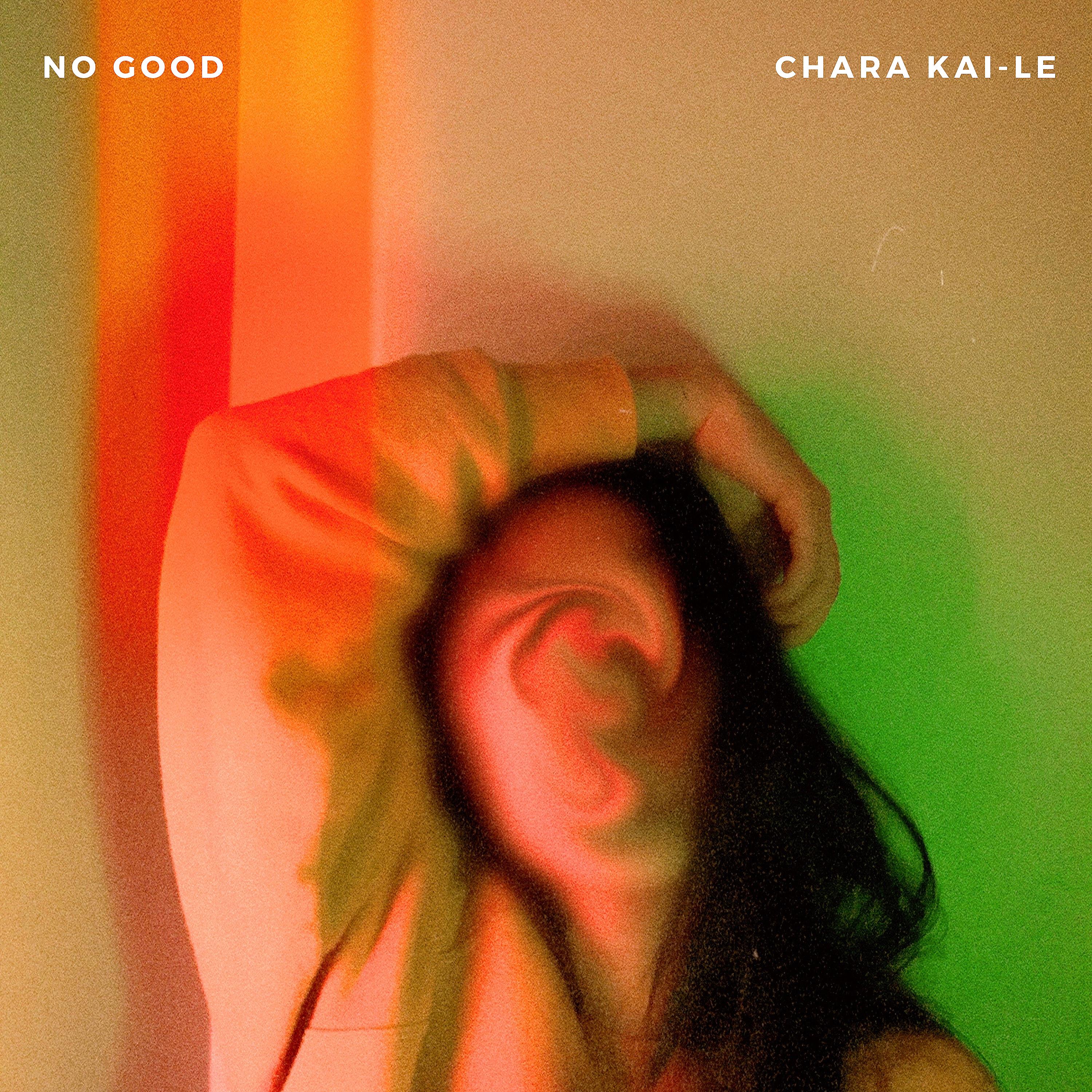 No Good by Chara Kai-Le