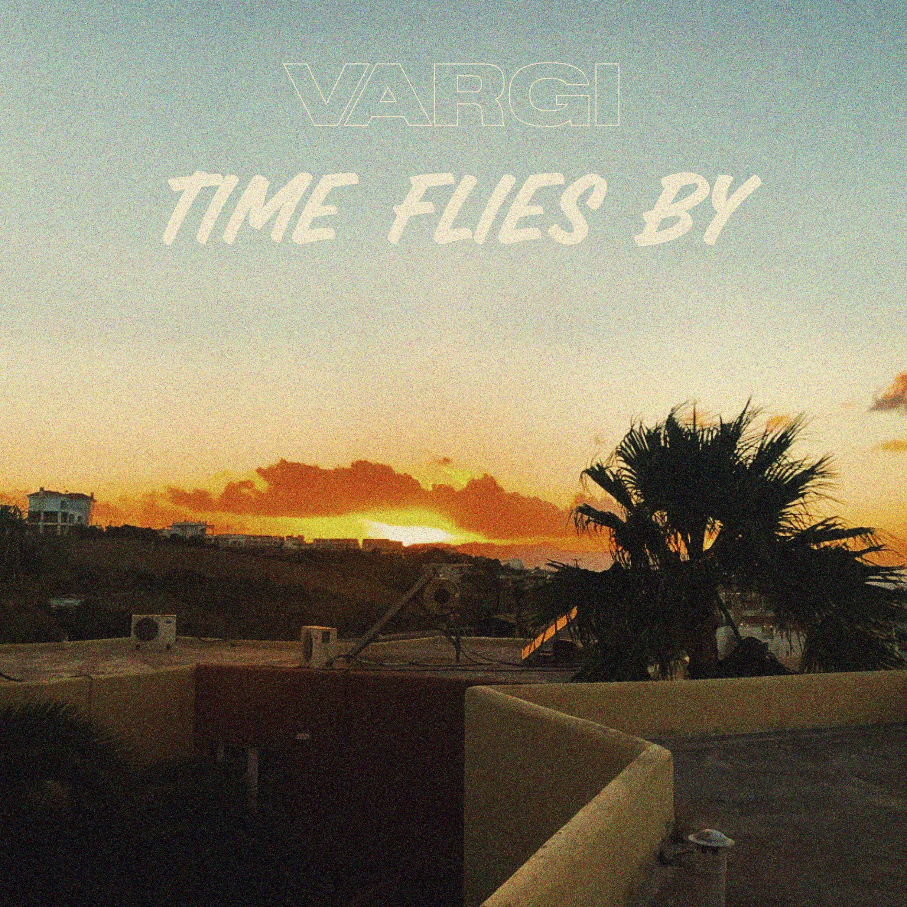Time Flies By Cover