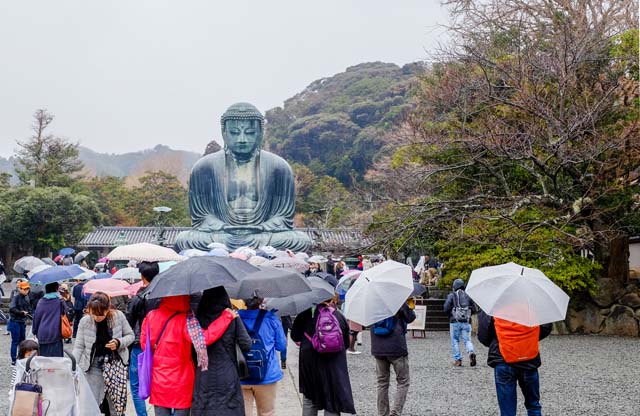 People with umbrellas standing in front of a seated Buddha statue