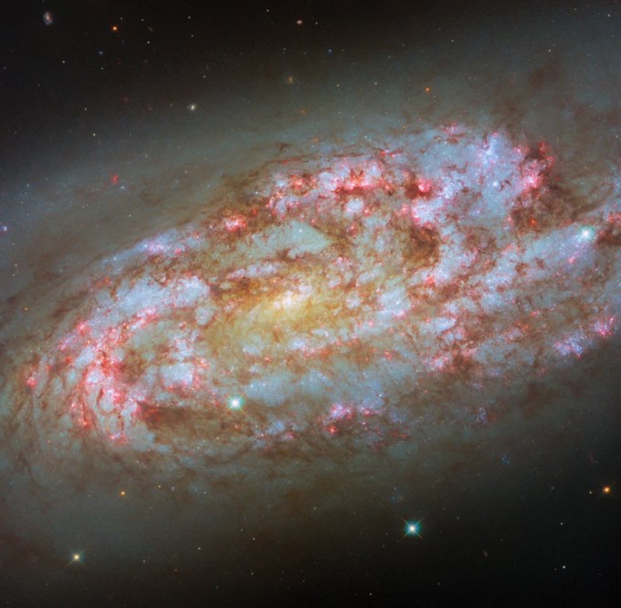 Hubble Telescope Delivers Detailed View of Starburst Galaxy NGC 1792