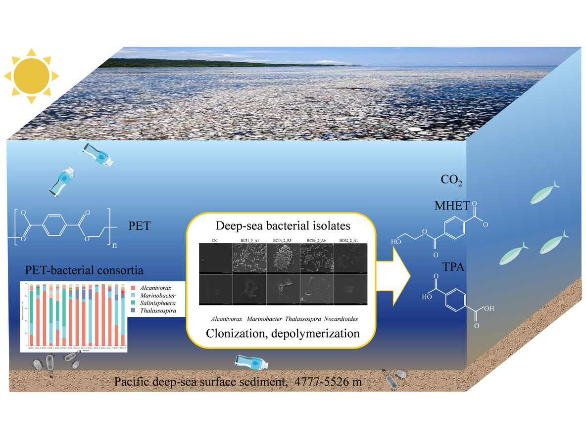 The Ocean Responds: Scientists Pinpoint Natural Mechanism for Plastic Degradation, Reshaping Future Outlook