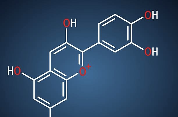 茶多酚賦予電動車電池正極材料新生，開創環保回收新篇章