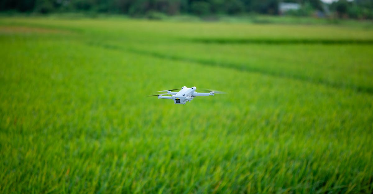 Oman Advances Agricultural Innovation to Strengthen Food Security