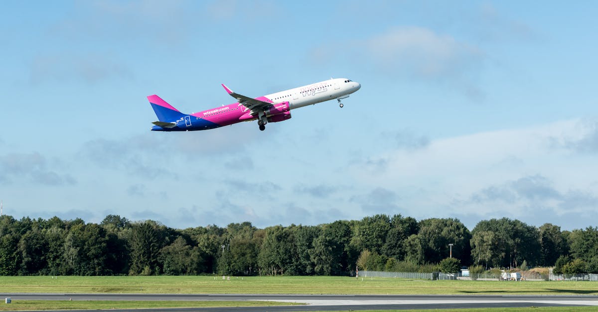 Wizz Air Integrates AI for Optimized Flight Paths, Reducing Emissions and Enhancing Passenger Experience
