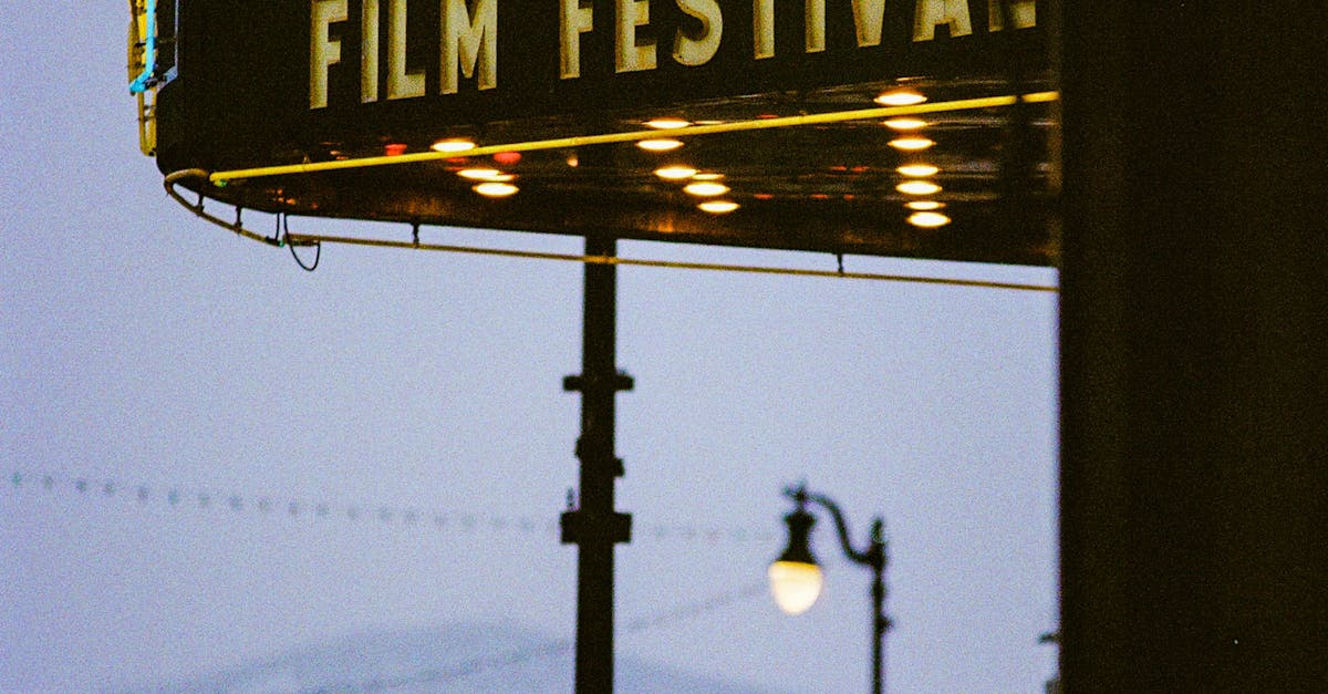 Deauville Film Festival 2025: Golshifteh Farahani to Lead Jury, Honoring Industry Icons