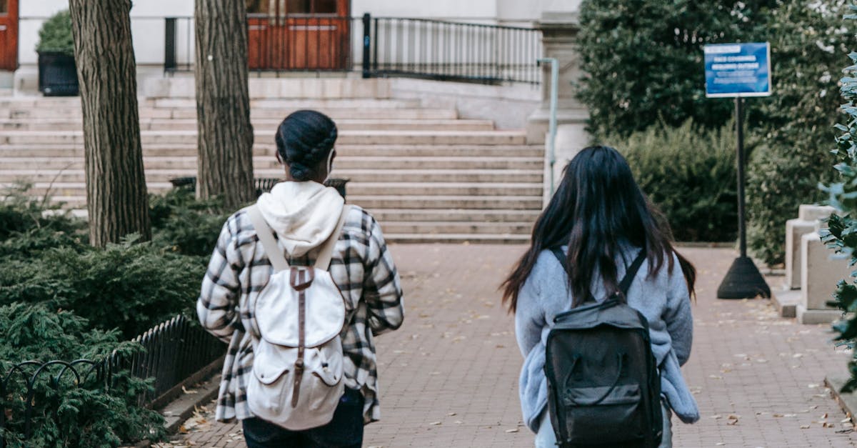 Hungary's Higher Education Reforms: A Model for Global Competitiveness and National Values