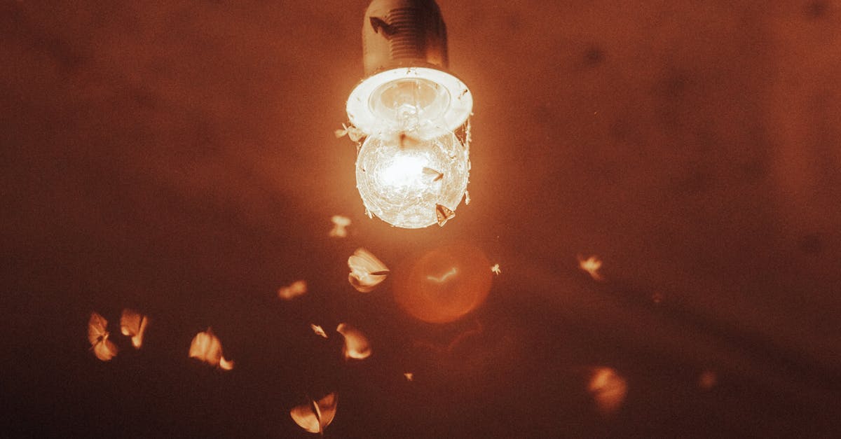 Finland's Moth Communities Undergoing Rapid Transformation Due to Climate Change