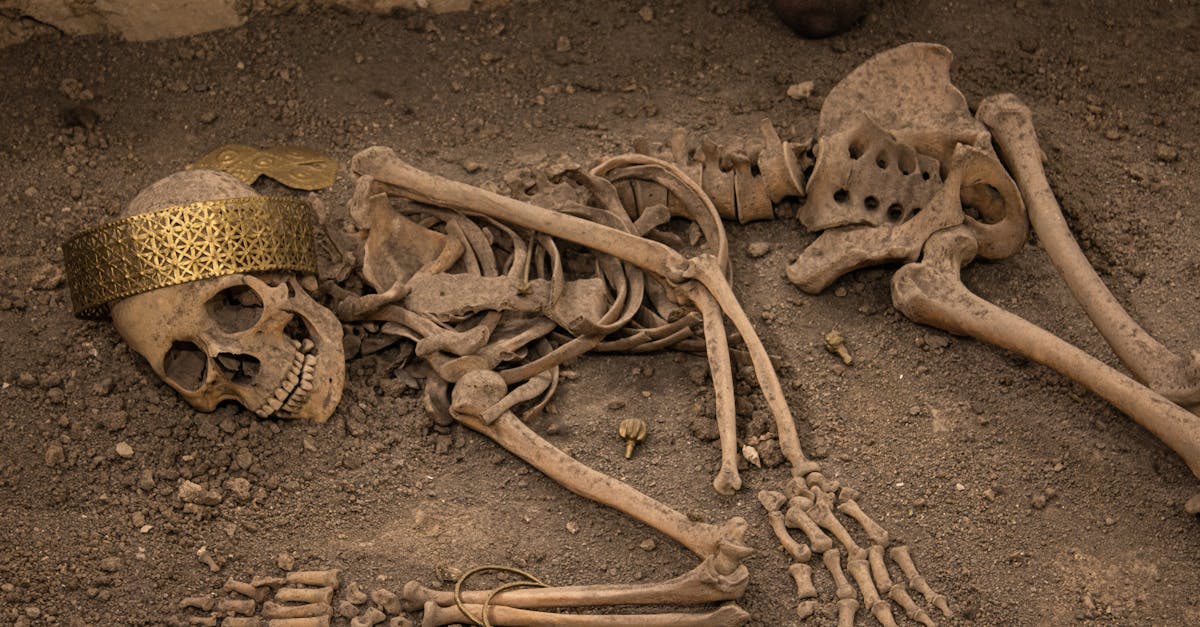 Archaeologists Discover Approximately 150 Ancient Burial Mounds in Kazakhstan's West Kazakhstan Region