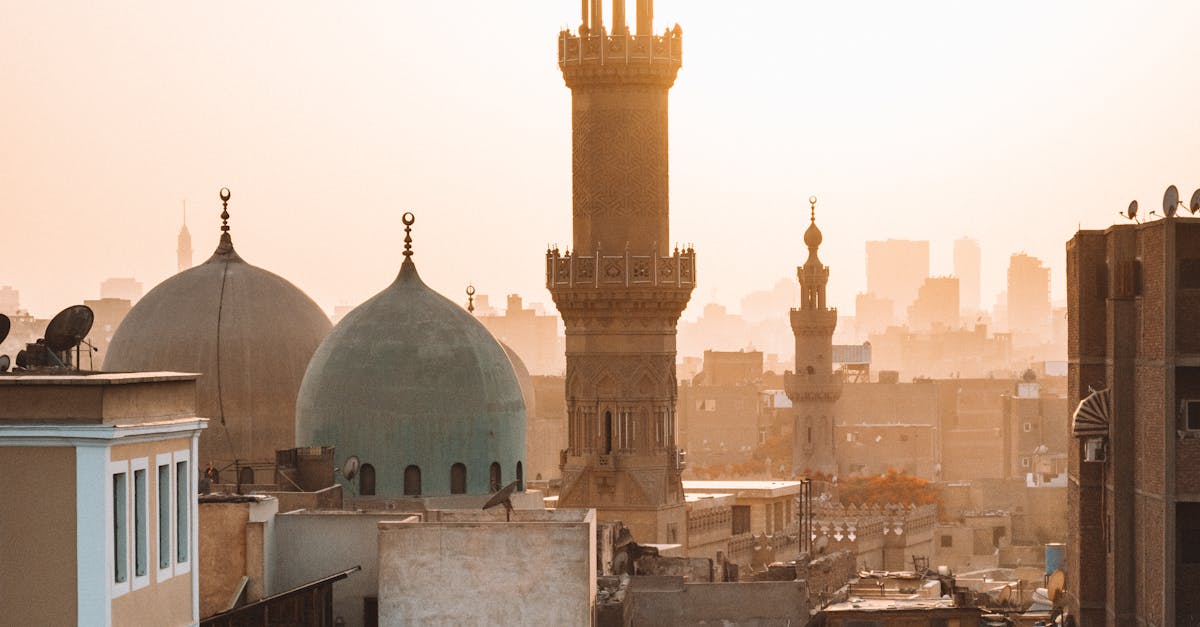 Premio Cairo 2025: Milan to Host Emerging Contemporary Artists with Sustainability Focus