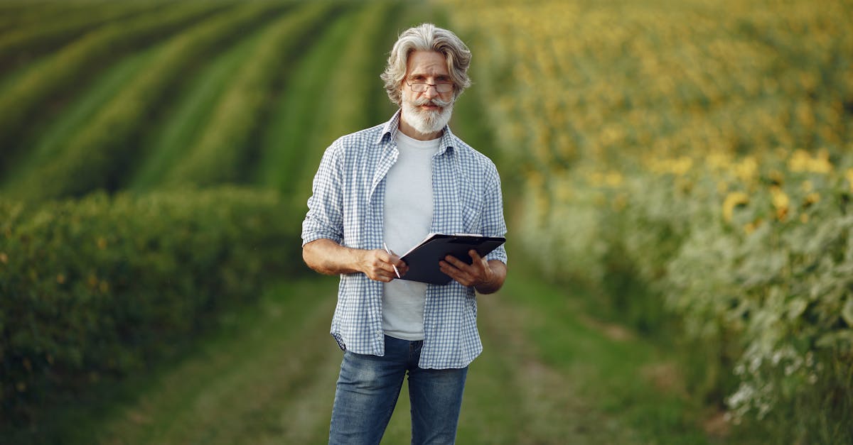 AI Leaf Monitor Promises Revolution in Crop Nutrition Assessment