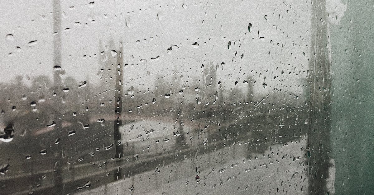 Siberian Air Influx Signals Major Cooling and Drying Trend for Central Europe