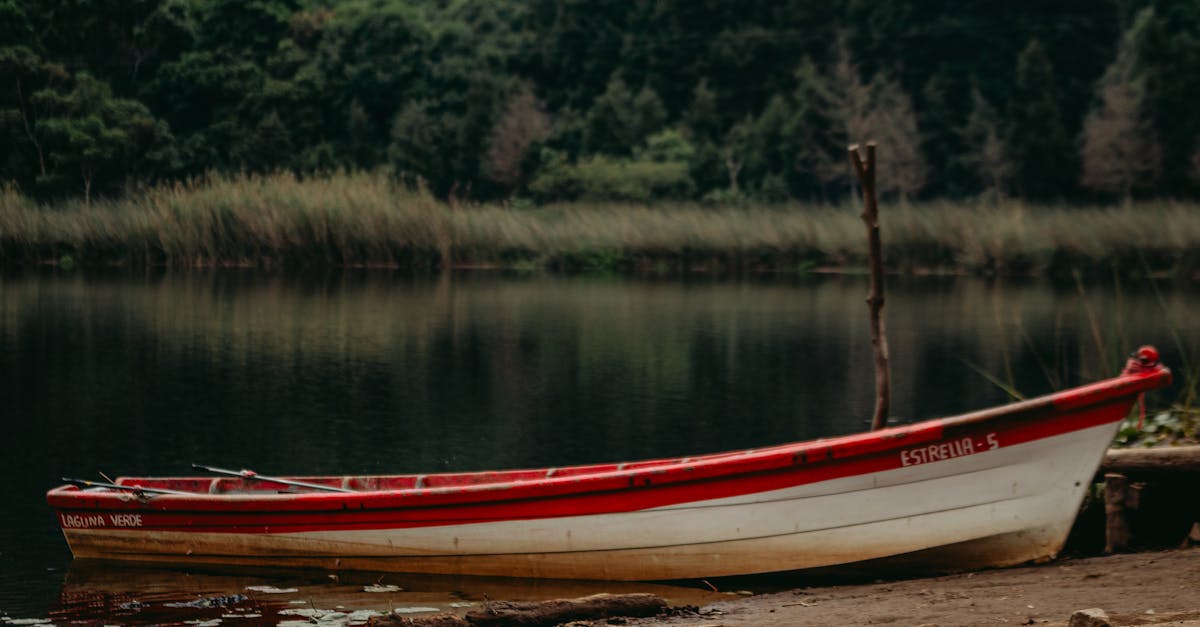Laguna Verde: El Salvador's Priority Wetland and Ecotourism Sanctuary