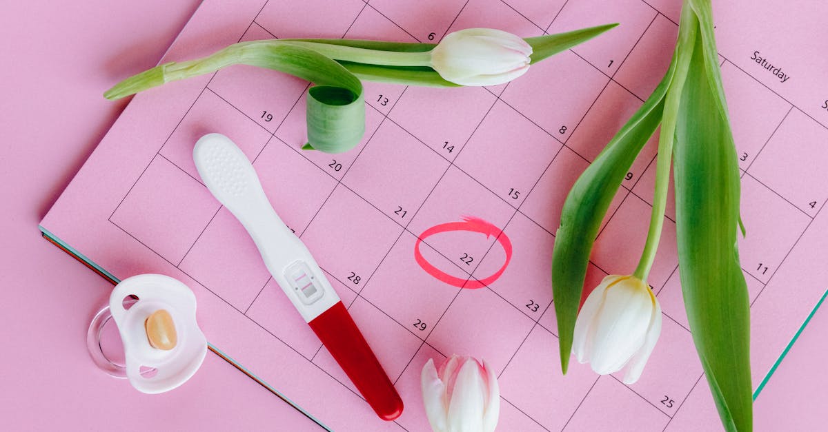 Global Demographic Shift: Declining Fertility Rates and the Future Landscape