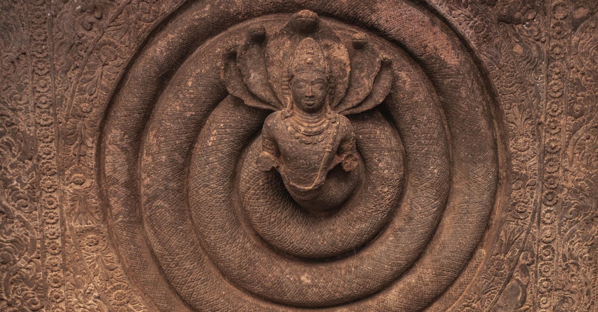 Паттанджали Гурукулам интегрирует древние знания и современные навыки в индийском образовании